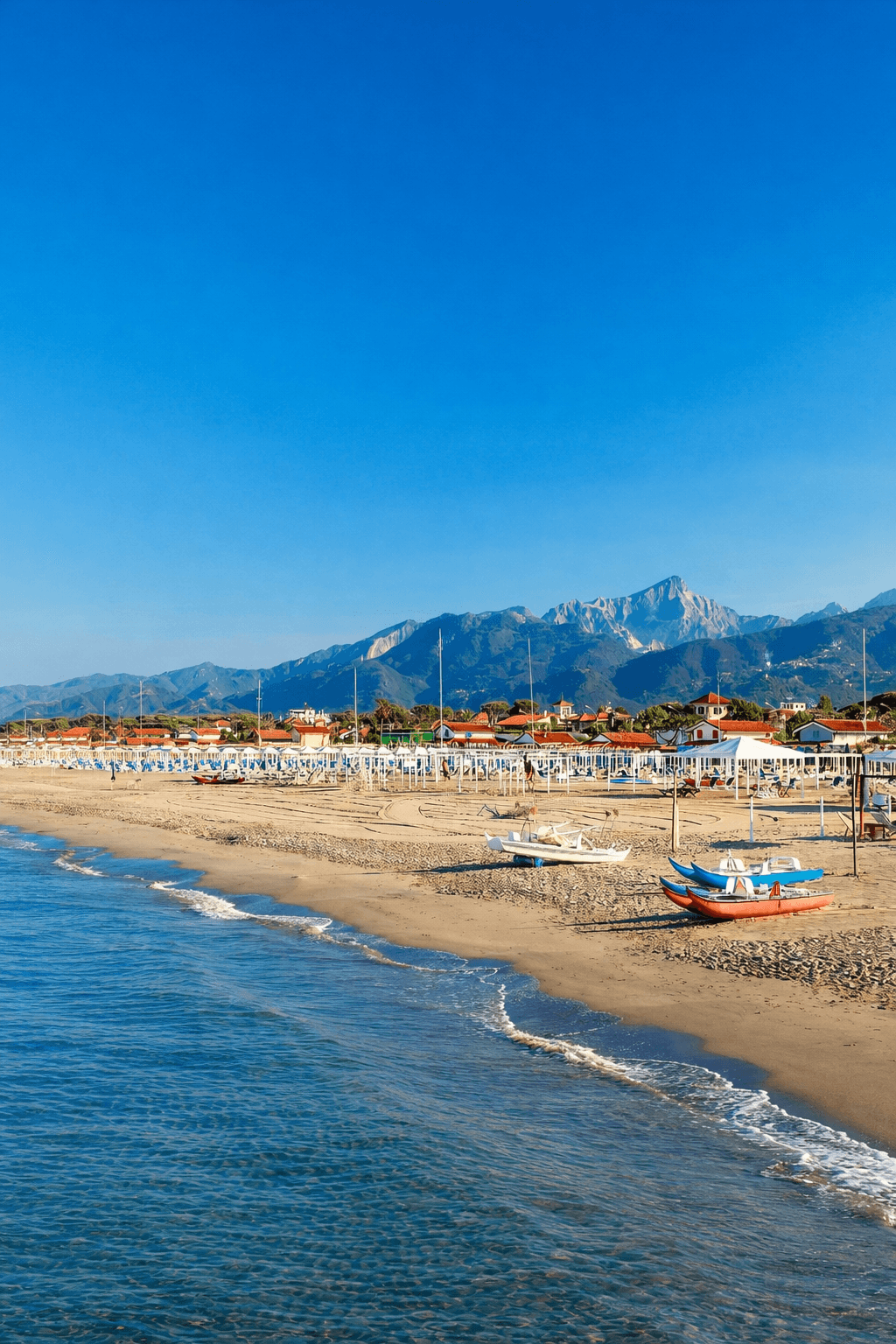 Wine tasting experience at local Tuscan vineyard with glasses of red wine and scenic views